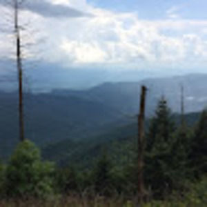 Meet your Posher, Jayden